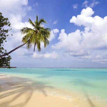 Cute Guest Suite In Kailua With Ac!!! Екстериор снимка